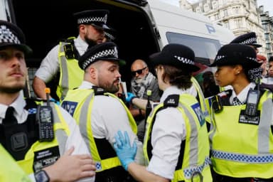 লন্ডনে ফিলিস্তিনপন্থীদের বিক্ষোভ, গ্রেপ্তার ৪ শতাধিক